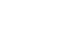Zodiac Logo